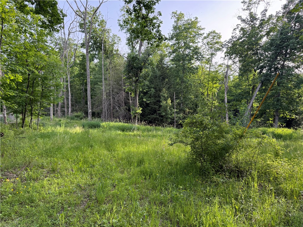 Hill Road Fillmore, NY 14735 - Photo 3 of 5