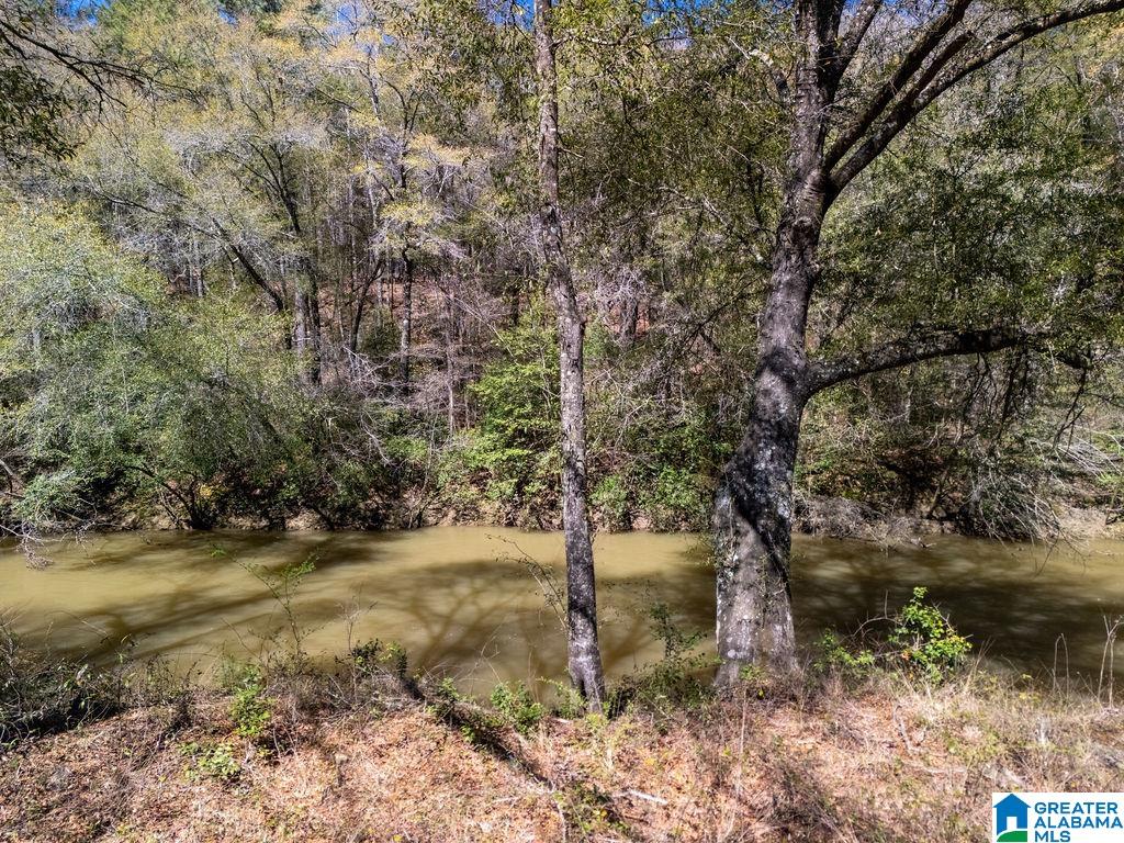 Bluegrass Lane, Unit 11 Jasper, AL 35503 - Photo 13 of 38