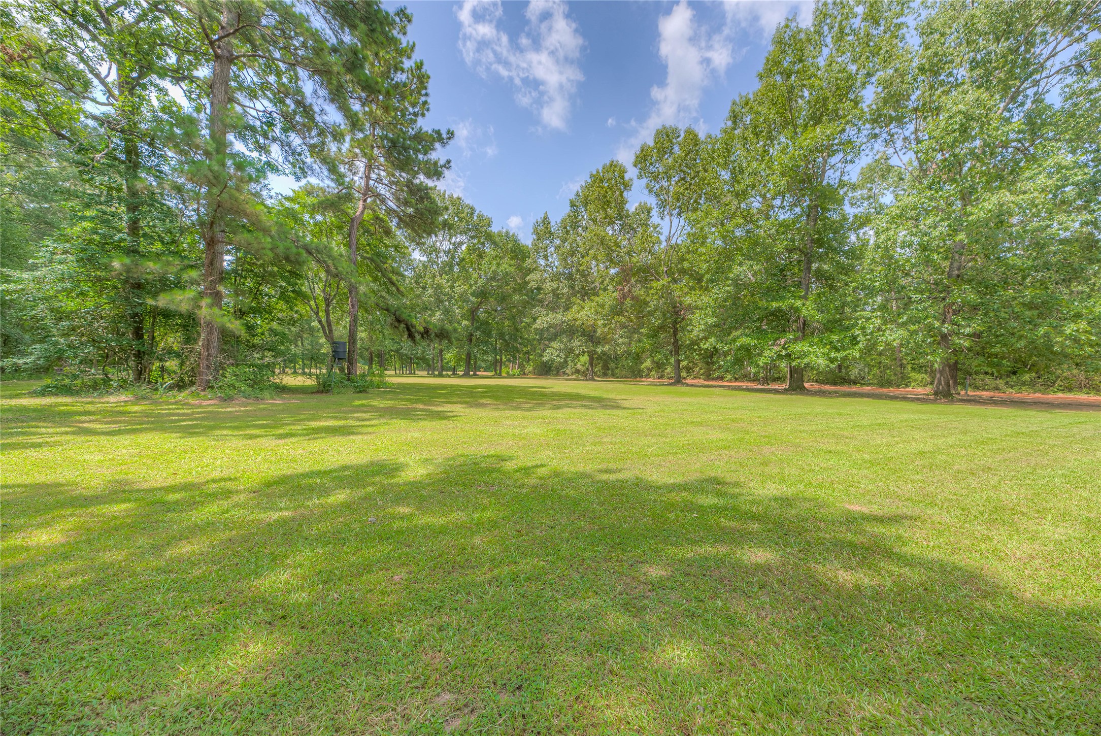 110 Happy Trails Road Coldspring, TX 77331 - Photo 34 of 49 a view of a green field