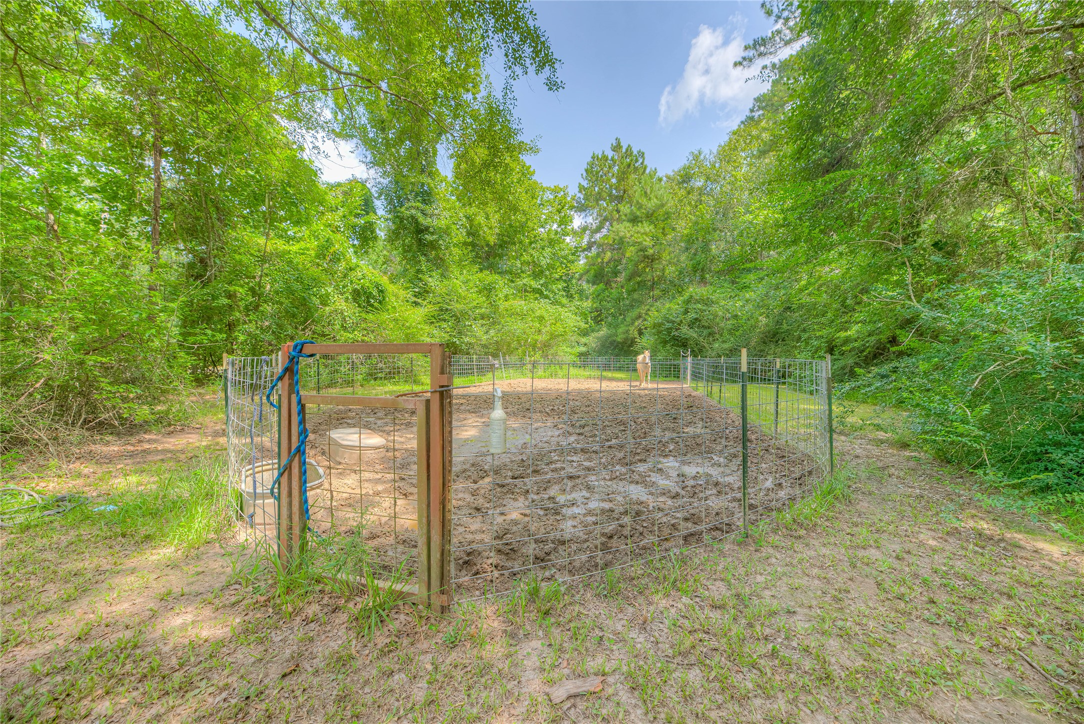 110 Happy Trails Road Coldspring, TX 77331 - Photo 37 of 49 a backyard of a house with lots of green space