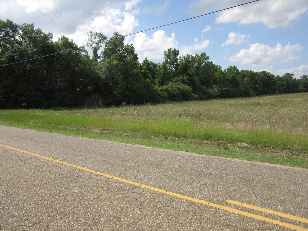 0 Baxter Road Ashford, AL 36312 - Photo 2 of 3