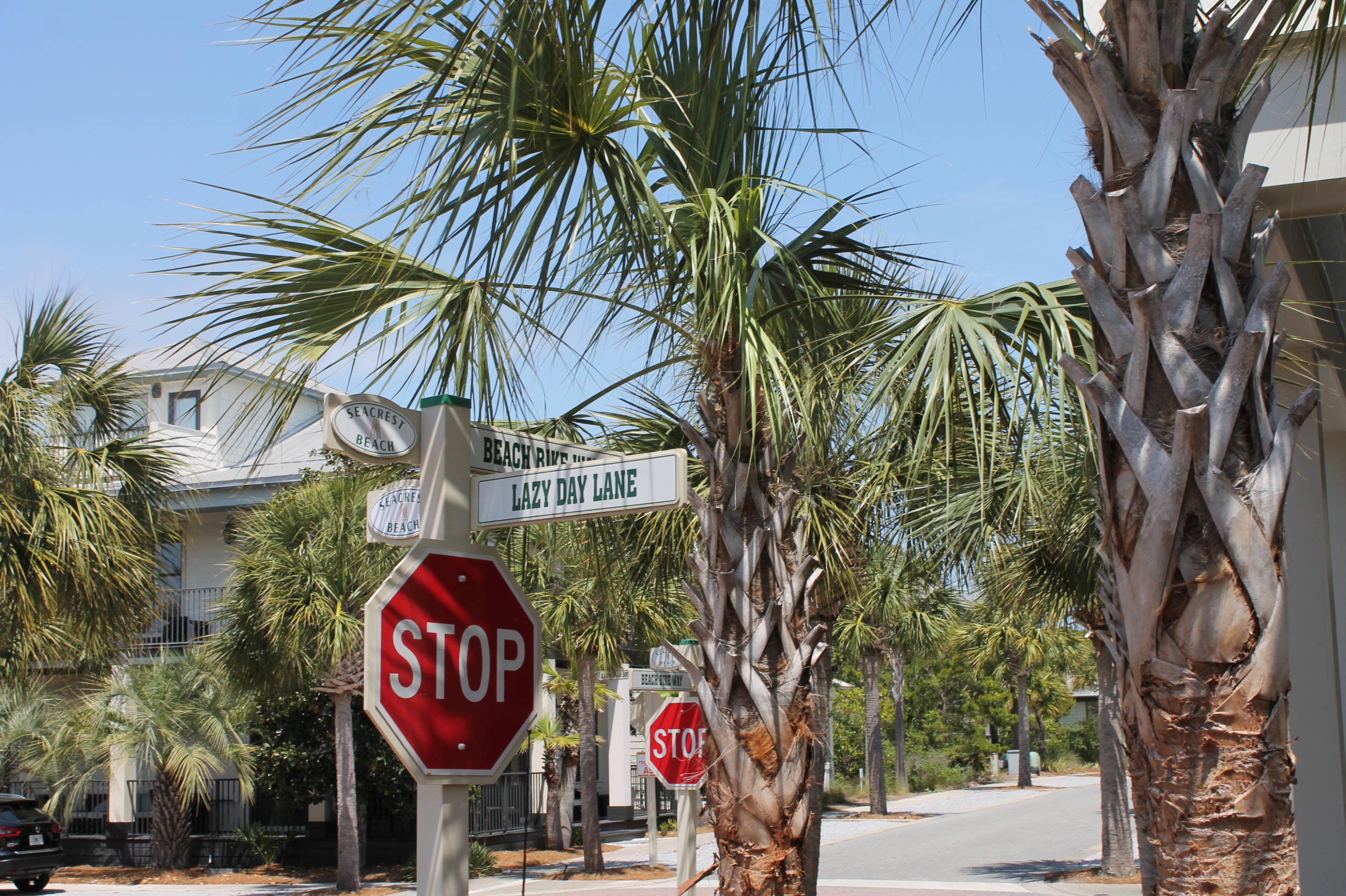 Lot 7 Lazy Day Ln Inlet Beach, Unit LOT 7 Inlet Beach, FL 32461 - Photo 1 of 12 a close up of a street sign