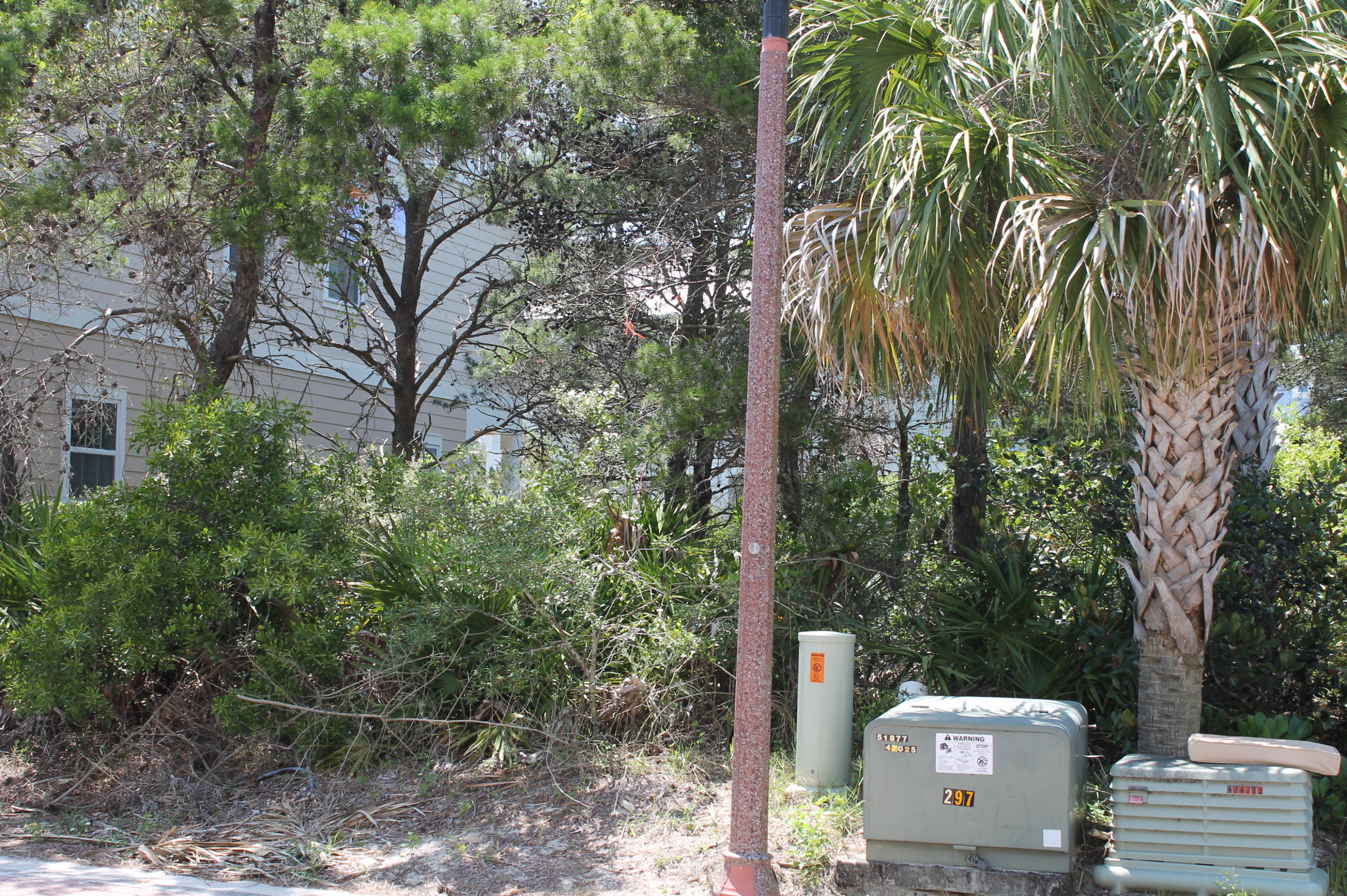 Lot 7 Lazy Day Ln Inlet Beach, Unit LOT 7 Inlet Beach, FL 32461 - Photo 4 of 12 a view of a yard with plants and large trees