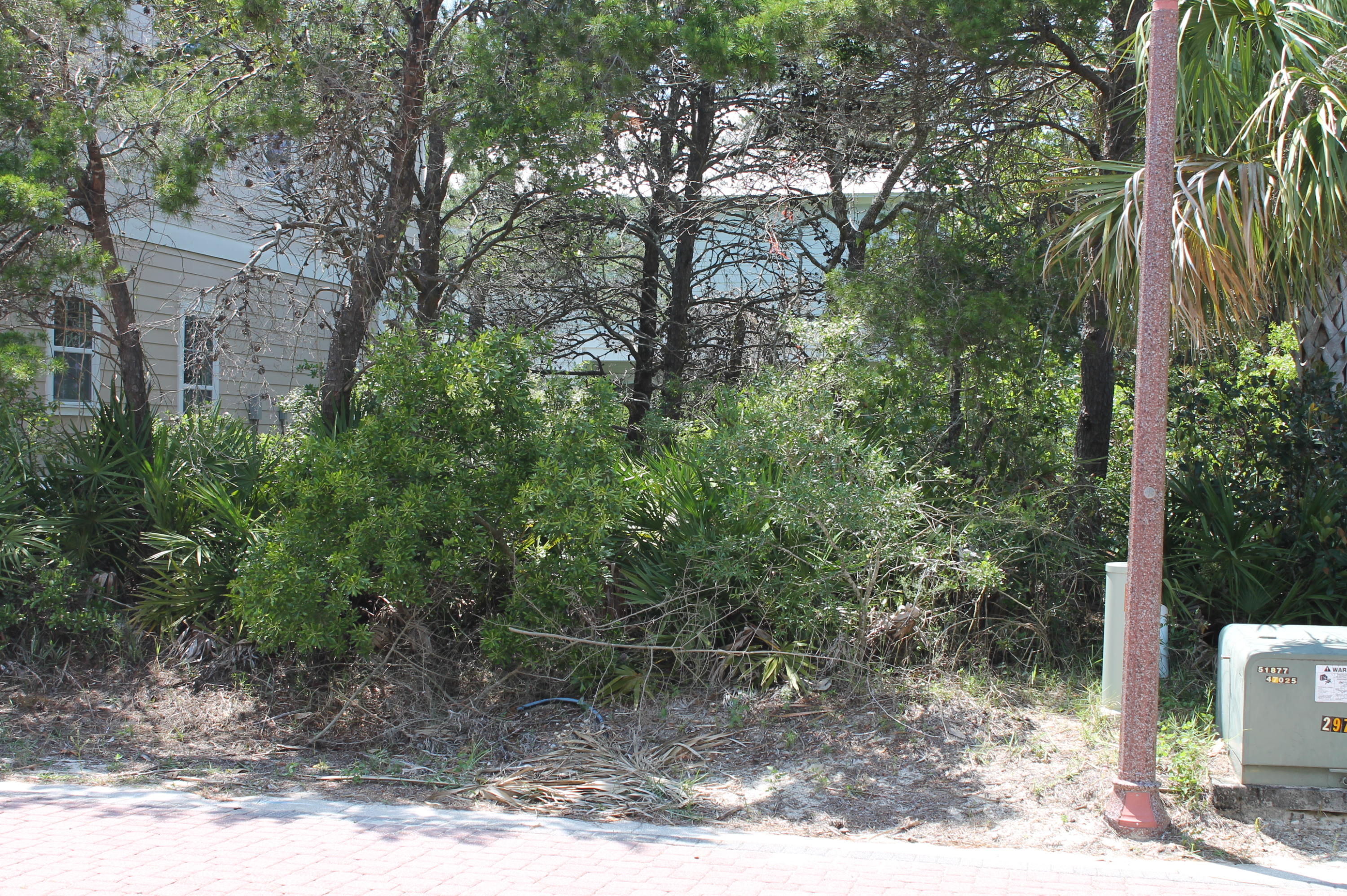 Lot 7 Lazy Day Ln Inlet Beach, Unit LOT 7 Inlet Beach, FL 32461 - Photo 5 of 12 a view of a forest filled with trees
