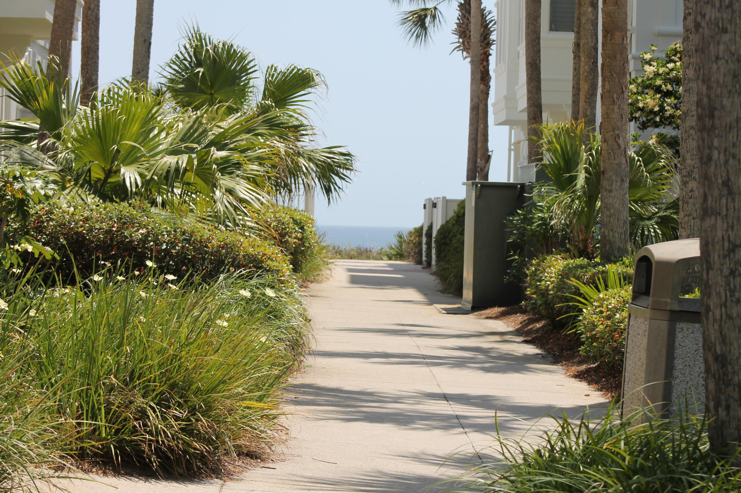 Lot 7 Lazy Day Ln Inlet Beach, Unit LOT 7 Inlet Beach, FL 32461 - Photo 6 of 12 a view of a garden with plants