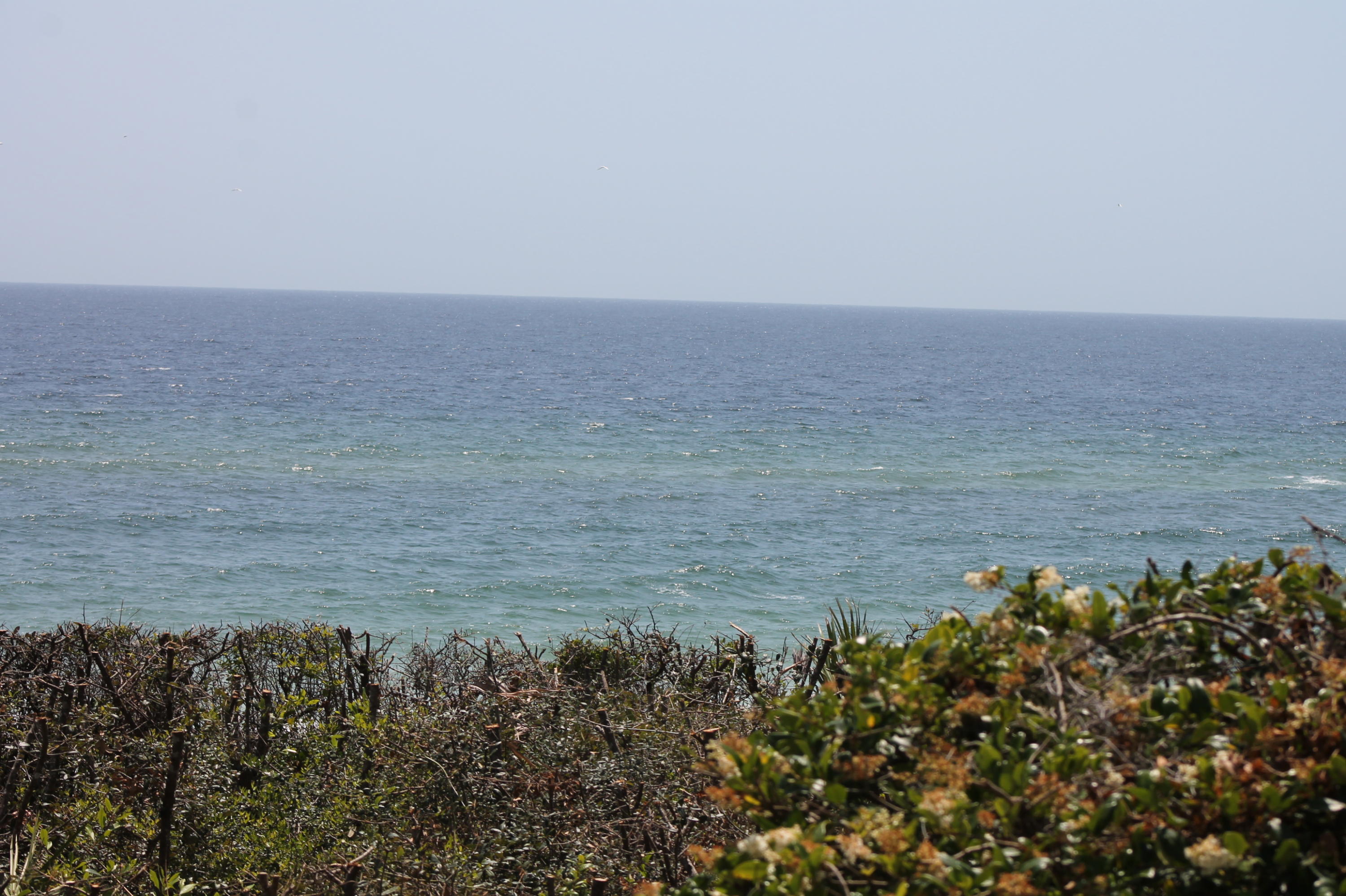 Lot 7 Lazy Day Ln Inlet Beach, Unit LOT 7 Inlet Beach, FL 32461 - Photo 9 of 12 a view of a lake view