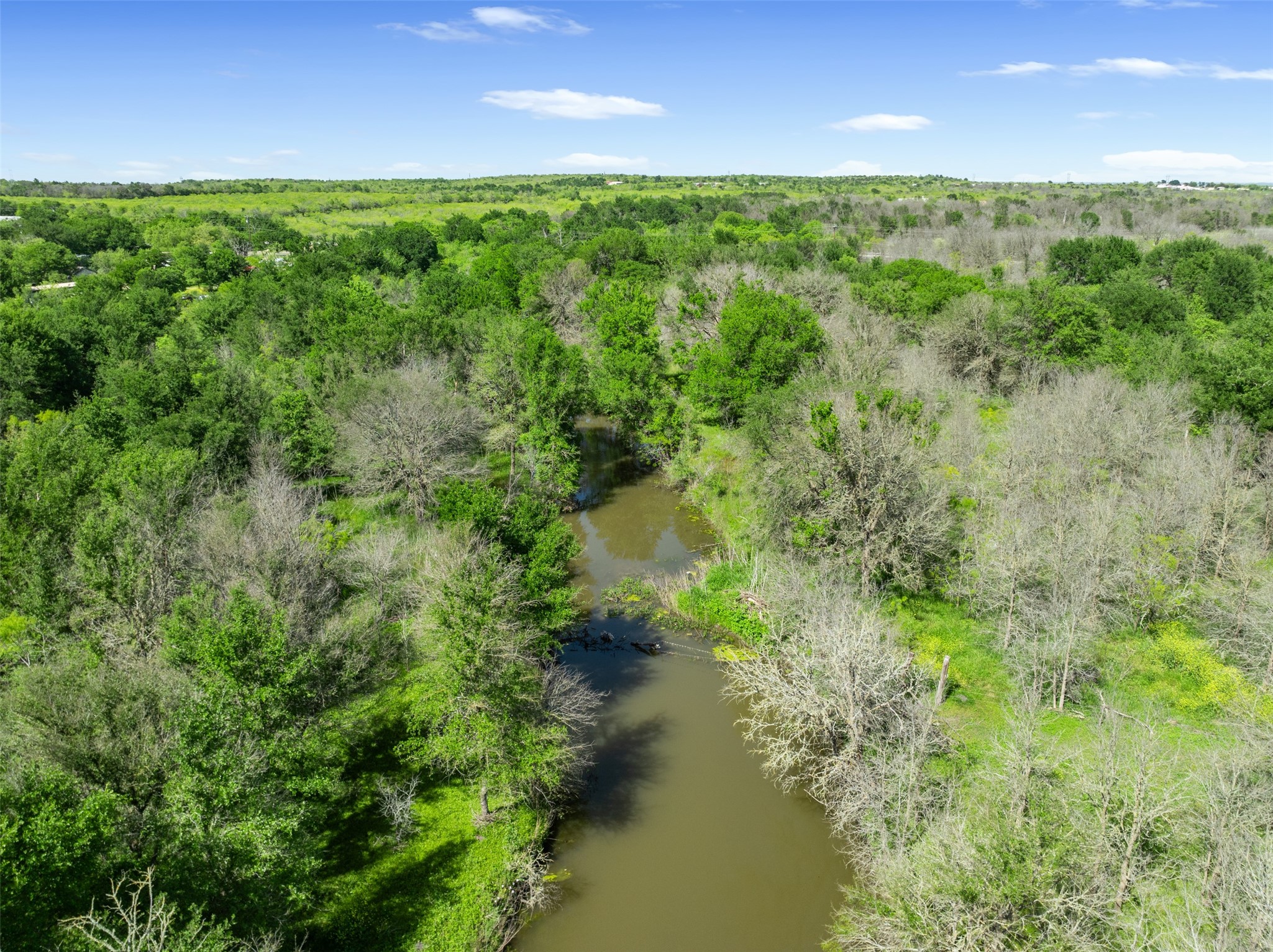 0 Jacobson Road Del Valle, TX 78617 - Photo 34 of 40 a view of a yard with plants and a bench