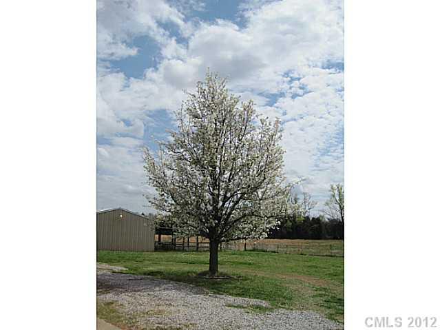 3325 Williamson Road Rock Hill, SC 29730 - Photo 13 of 16 a view of a big yard