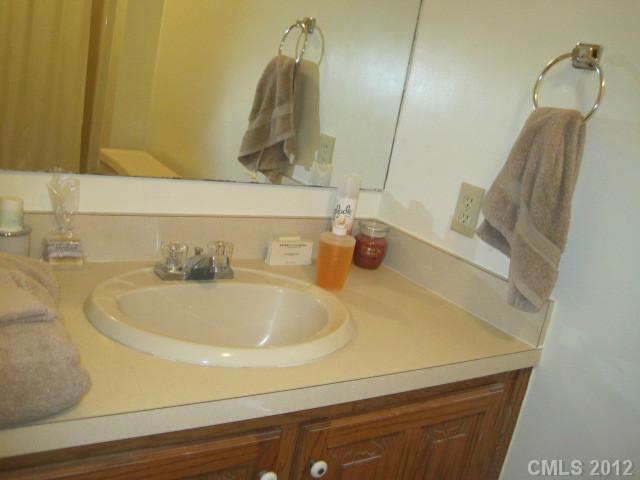 3325 Williamson Road Rock Hill, SC 29730 - Photo 6 of 16 a bathroom with a sink and a mirror