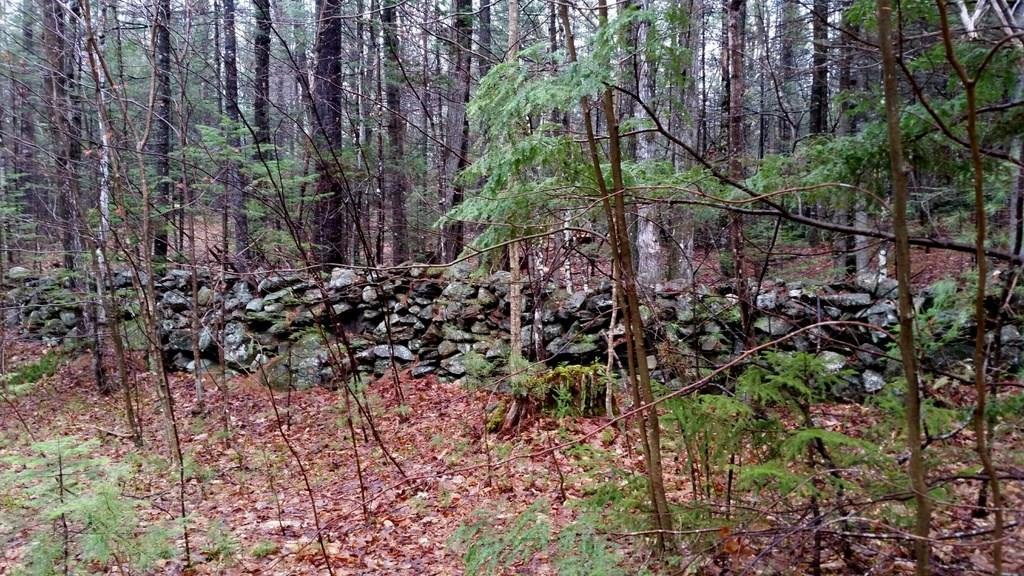 Tbd Staples Pond Road Temple, ME 04984 - Photo 2 of 6 Photo