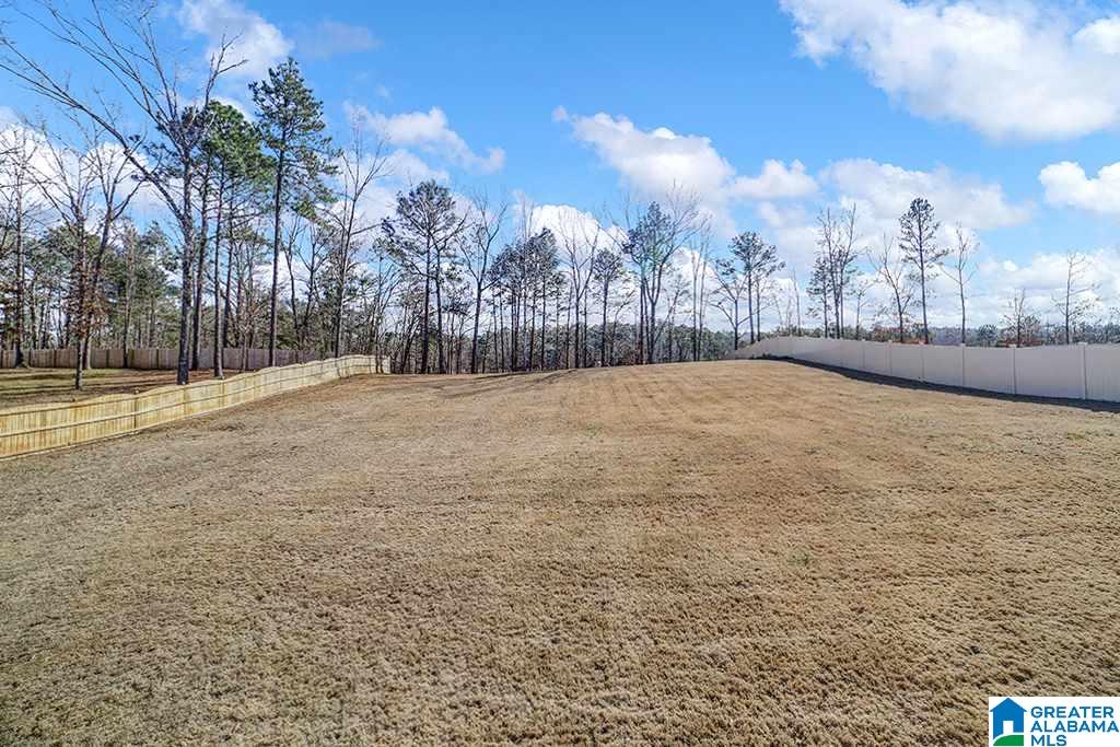 3646 Timber Way Helena, AL 35022 - Photo 40 of 46