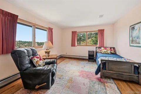 a living room with furniture rug and a window
