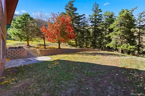 a view of yard with tree