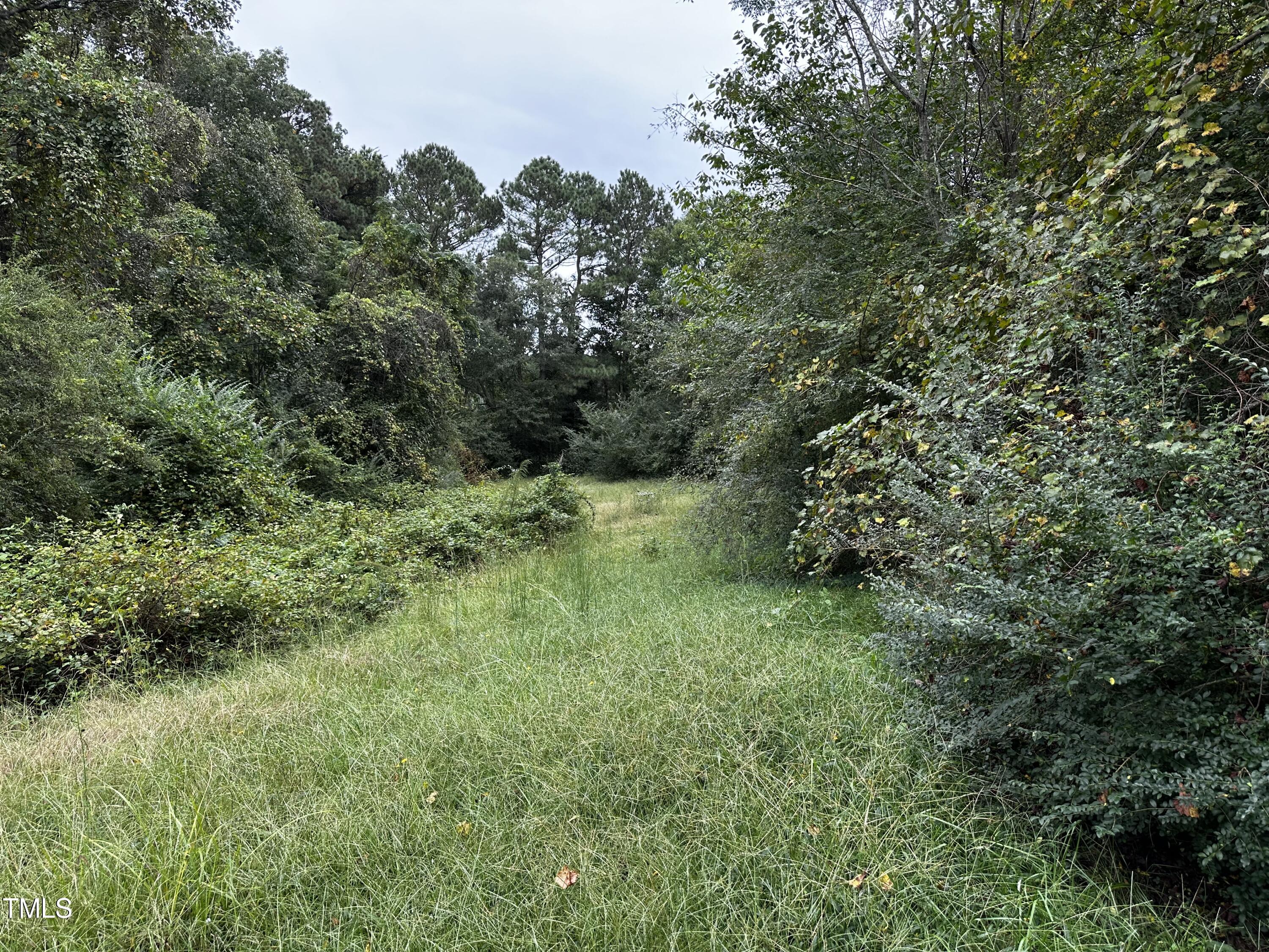 8317 Kennebec Road Willow Spring, NC 27592 - Photo 1 of 5 Wood/Grass Lot