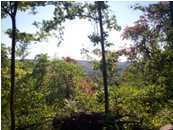 0 Fisher Ridge Road Horse Cave, KY 42749 - Photo 2 of 2 Additional Photo