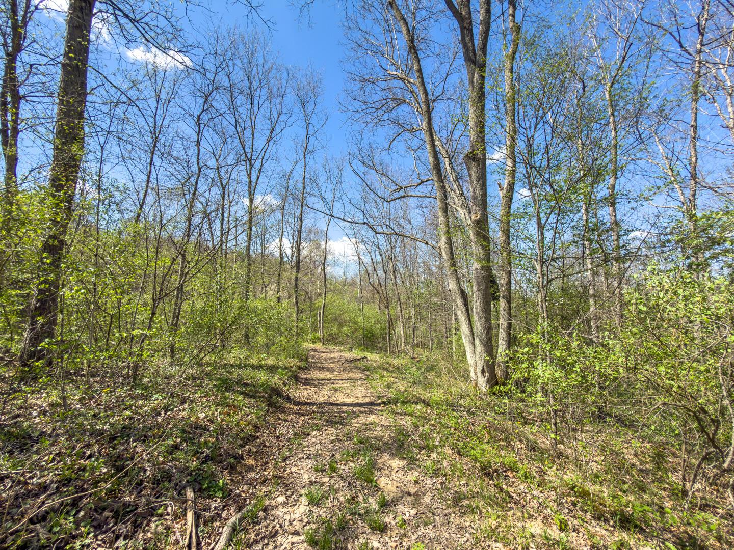 5235 Pounds Road Glouster, OH 45732 - Photo 6 of 28
