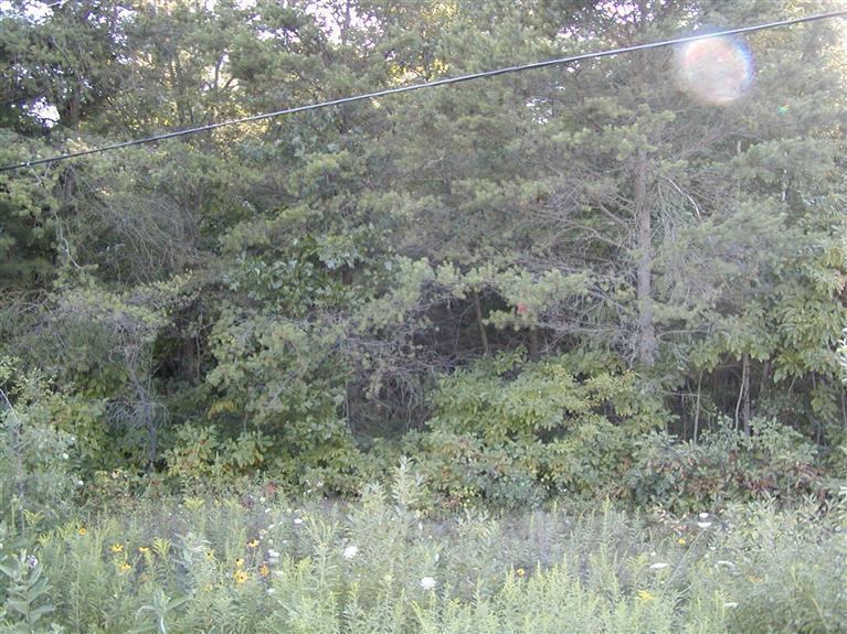 Hamilton Road Muskegon, MI 49445 - Photo 2 of 2 Additional Photo