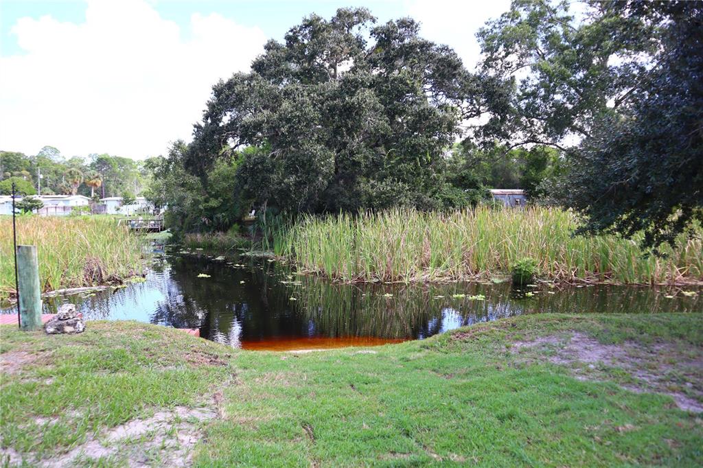 6443 Finance Avenue Weeki Wachee, FL 34607 - Photo 4 of 48 Gallery Image 4