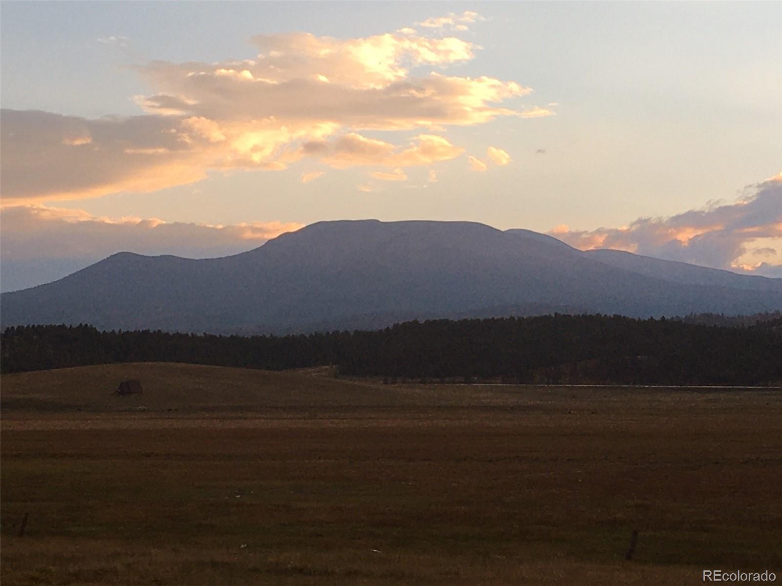 0 Thousand Peaks Ranch Hartsel, CO 80449 - Photo 13 of 40