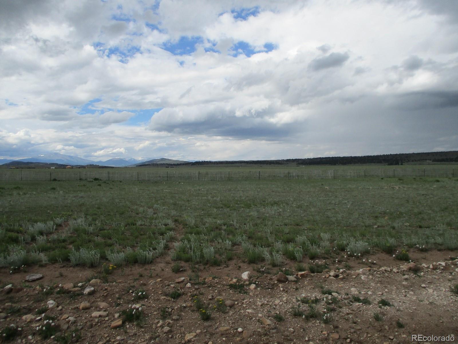 0 Thousand Peaks Ranch Hartsel, CO 80449 - Photo 20 of 40 a view of a field with lots of trees