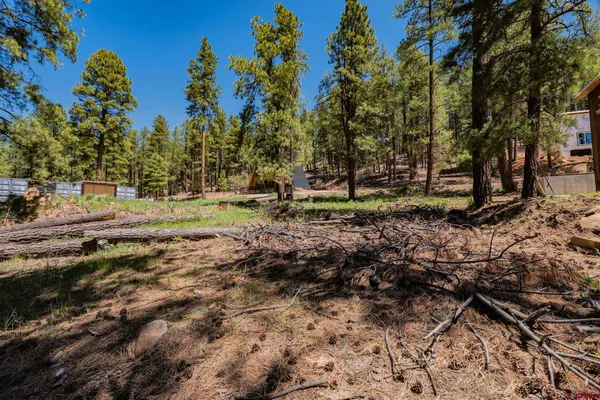 $70,000 | 171 Snowbird Court, Bayfield, CO 81122