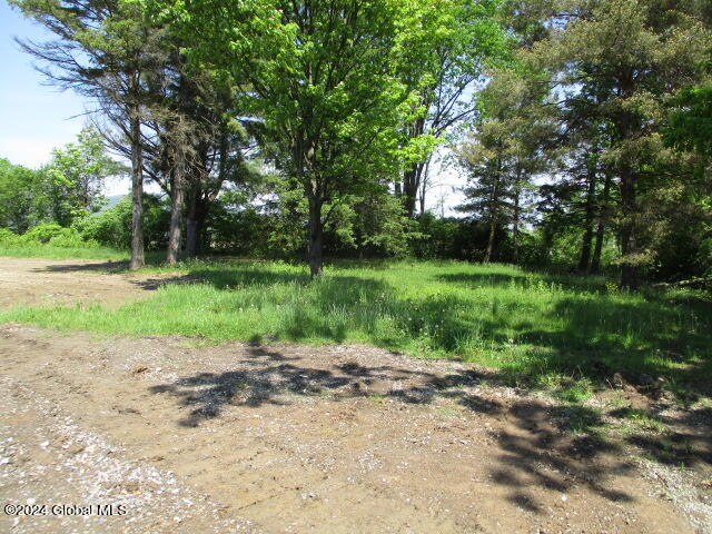 61 Delano Road Ticonderoga, NY 12883 - Photo 9 of 10 IMG_6298