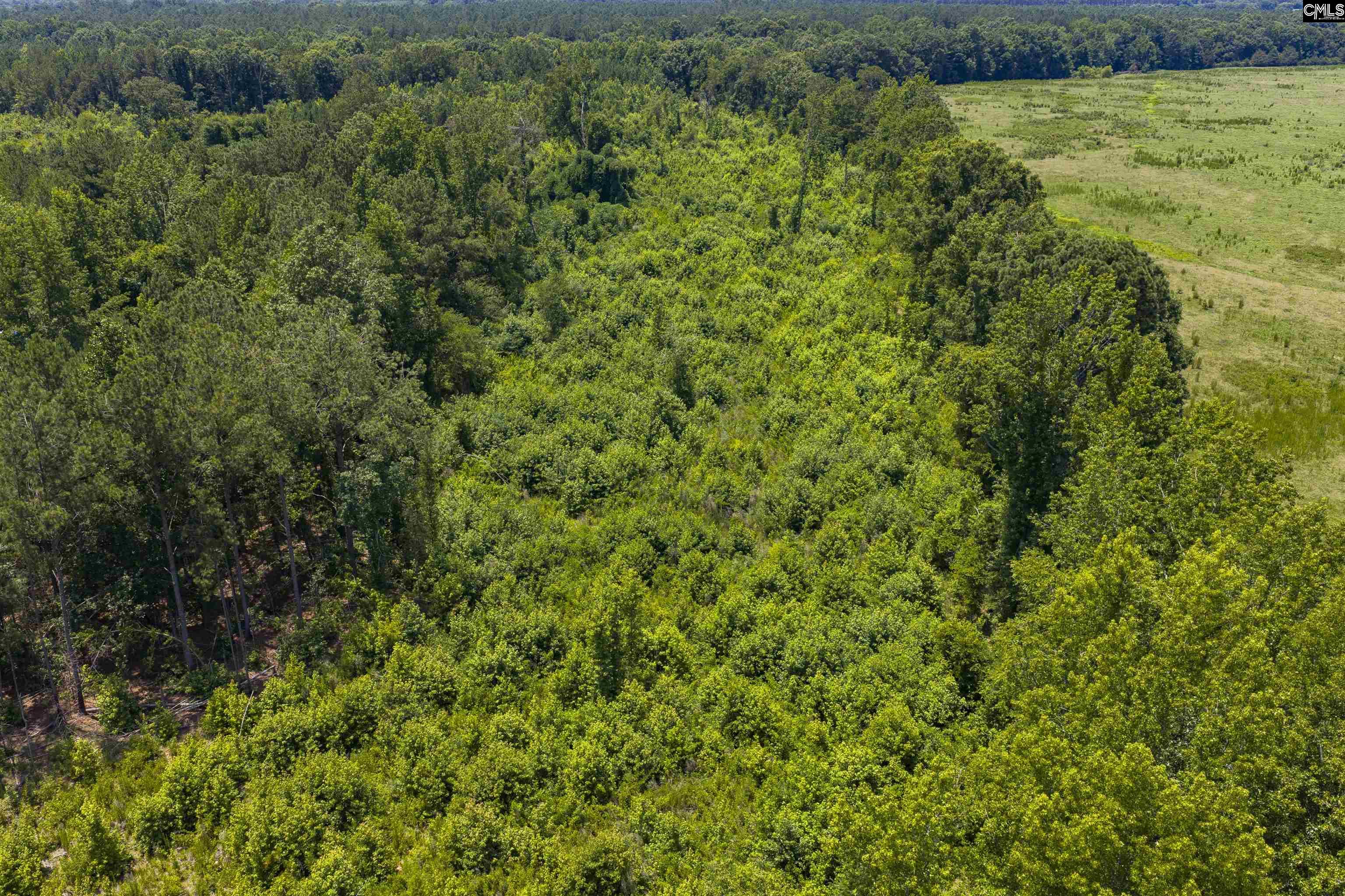 Stevens Road Saluda, SC 29138 - Photo 14 of 23