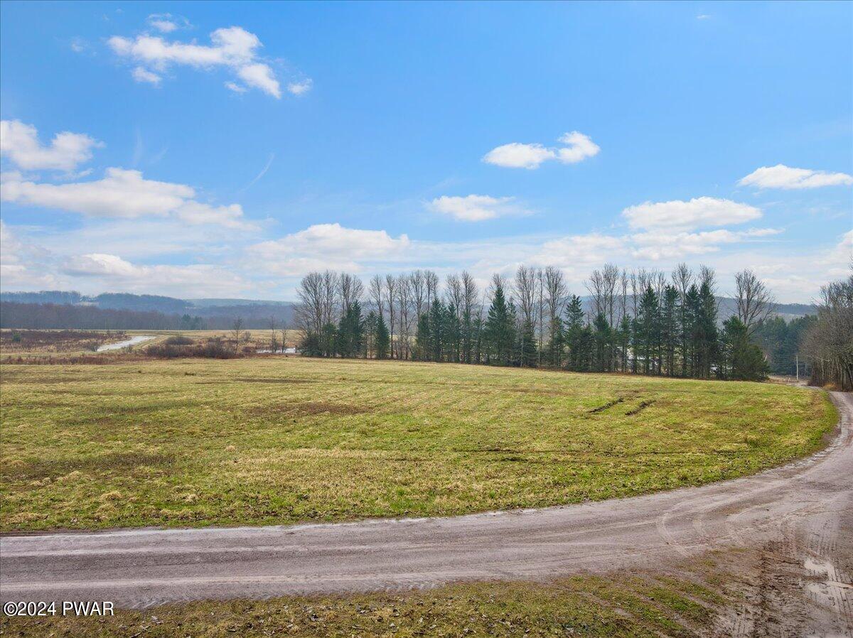 Lepro Martin Road Thompson, PA 18465 - Photo 6 of 12
