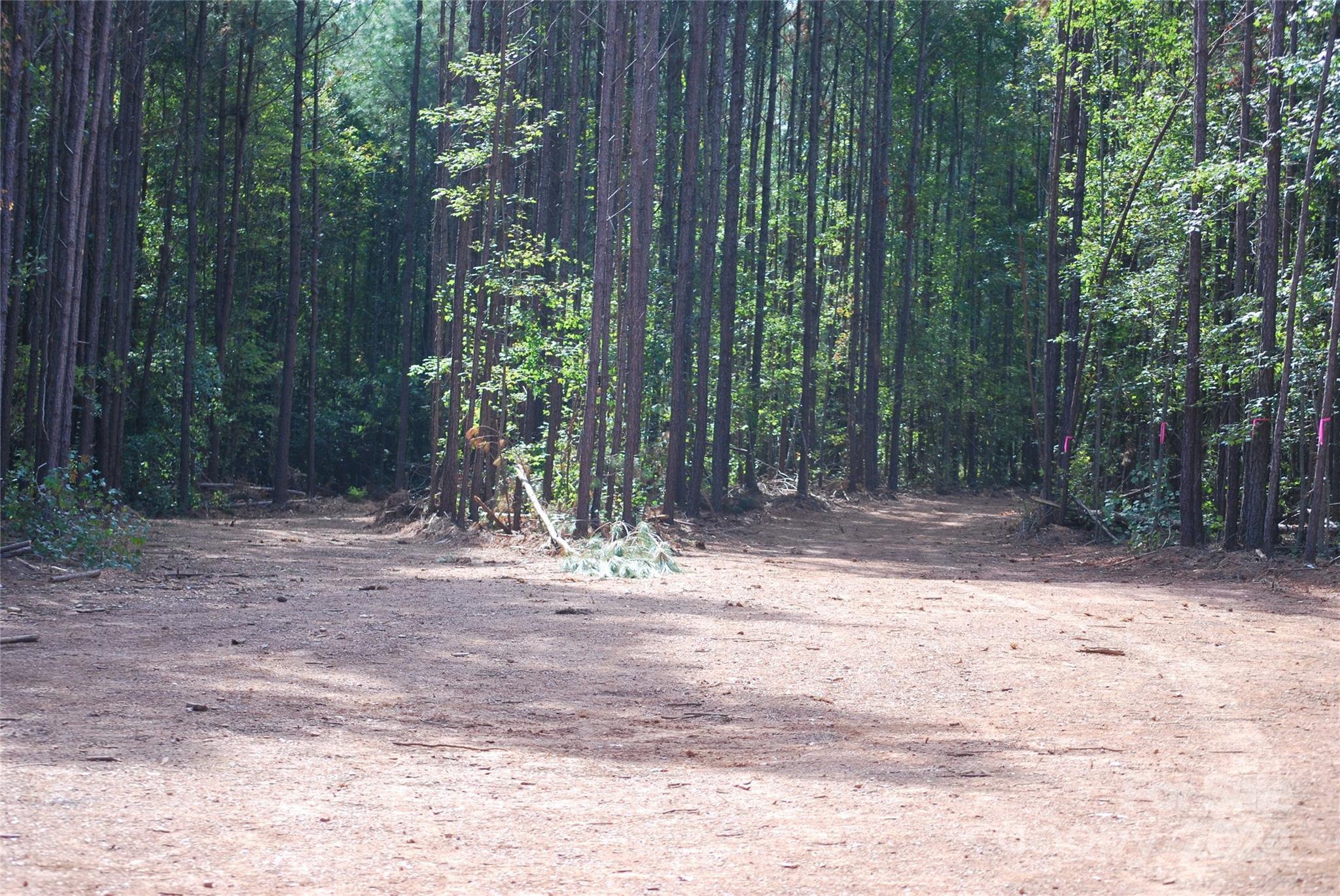 214 Hearne Farm Road Mount Gilead, NC 27306 - Photo 12 of 18