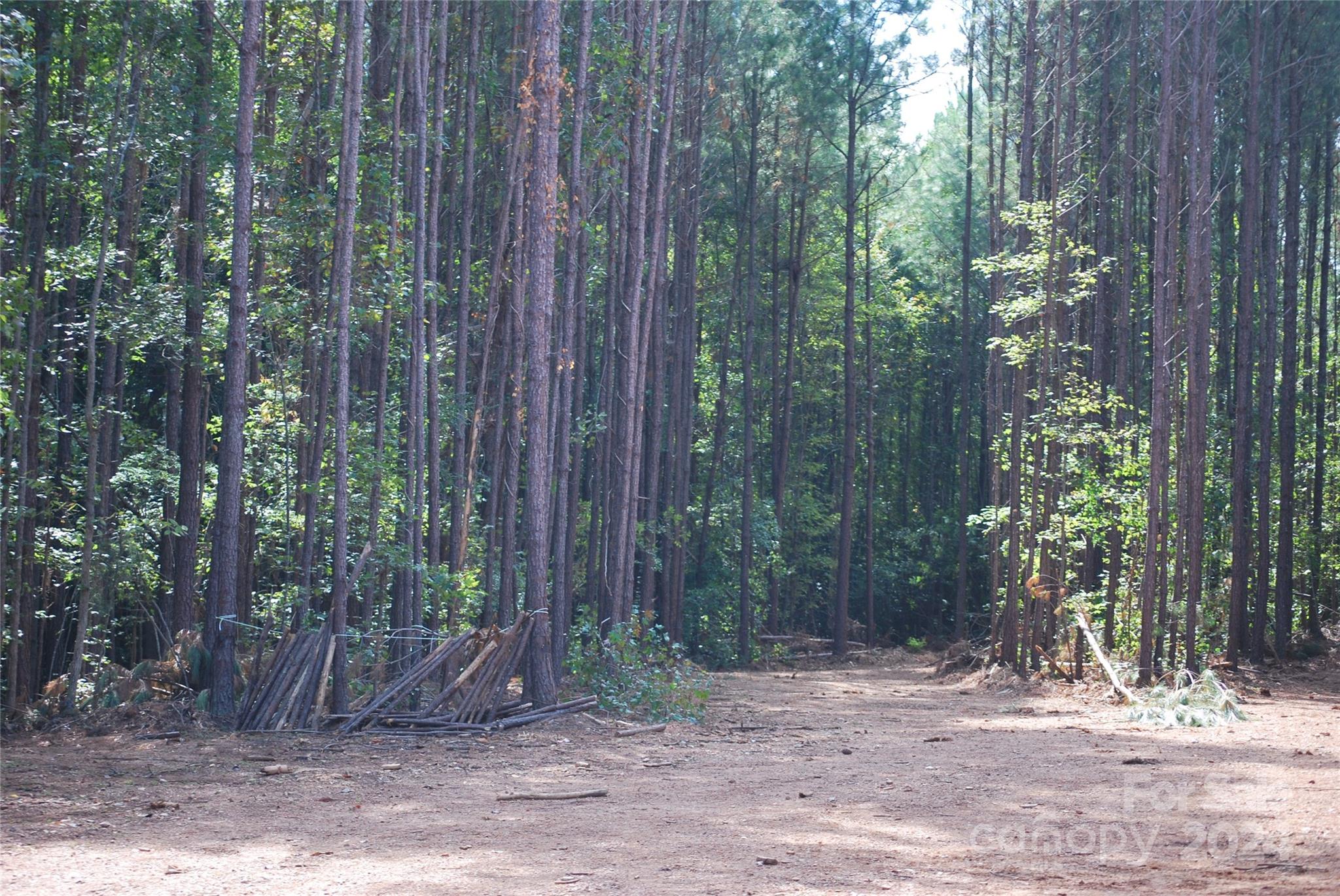 214 Hearne Farm Road Mount Gilead, NC 27306 - Photo 13 of 18