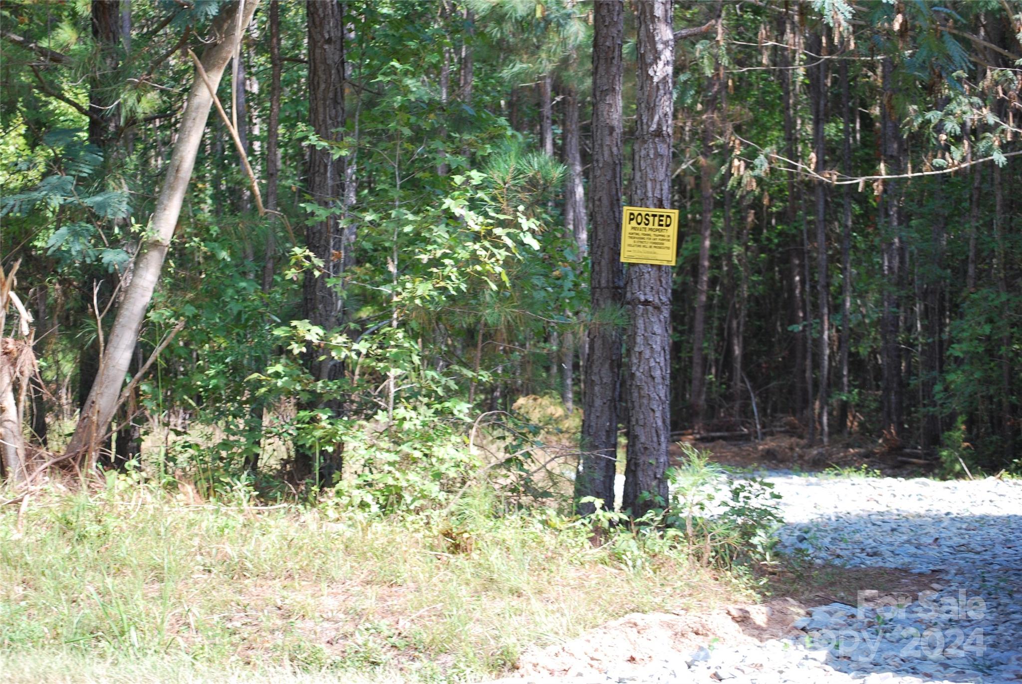 214 Hearne Farm Road Mount Gilead, NC 27306 - Photo 14 of 18