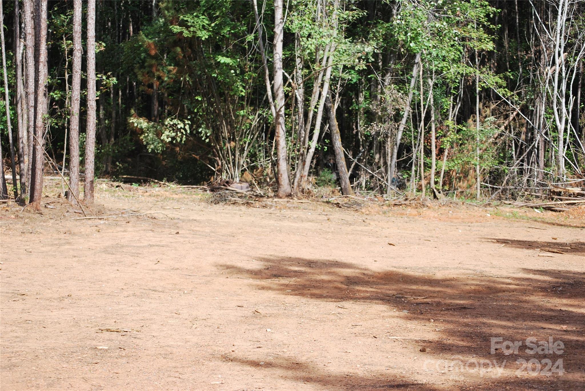 214 Hearne Farm Road Mount Gilead, NC 27306 - Photo 3 of 18