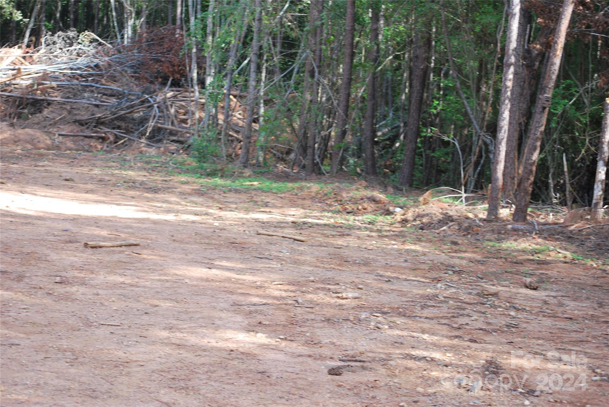 214 Hearne Farm Road Mount Gilead, NC 27306 - Photo 4 of 18