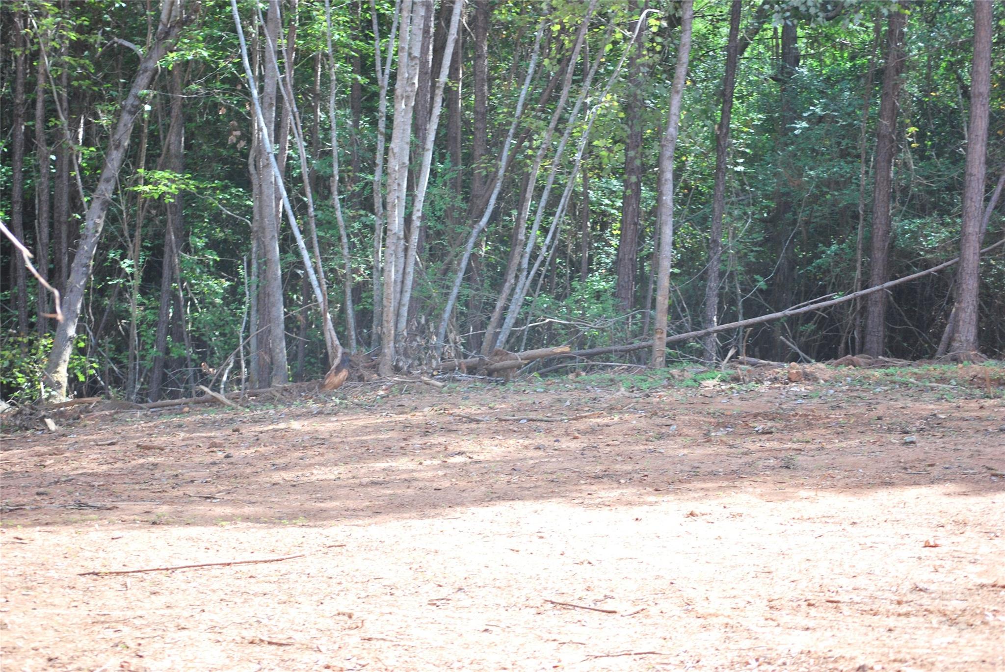 214 Hearne Farm Road Mount Gilead, NC 27306 - Photo 5 of 18