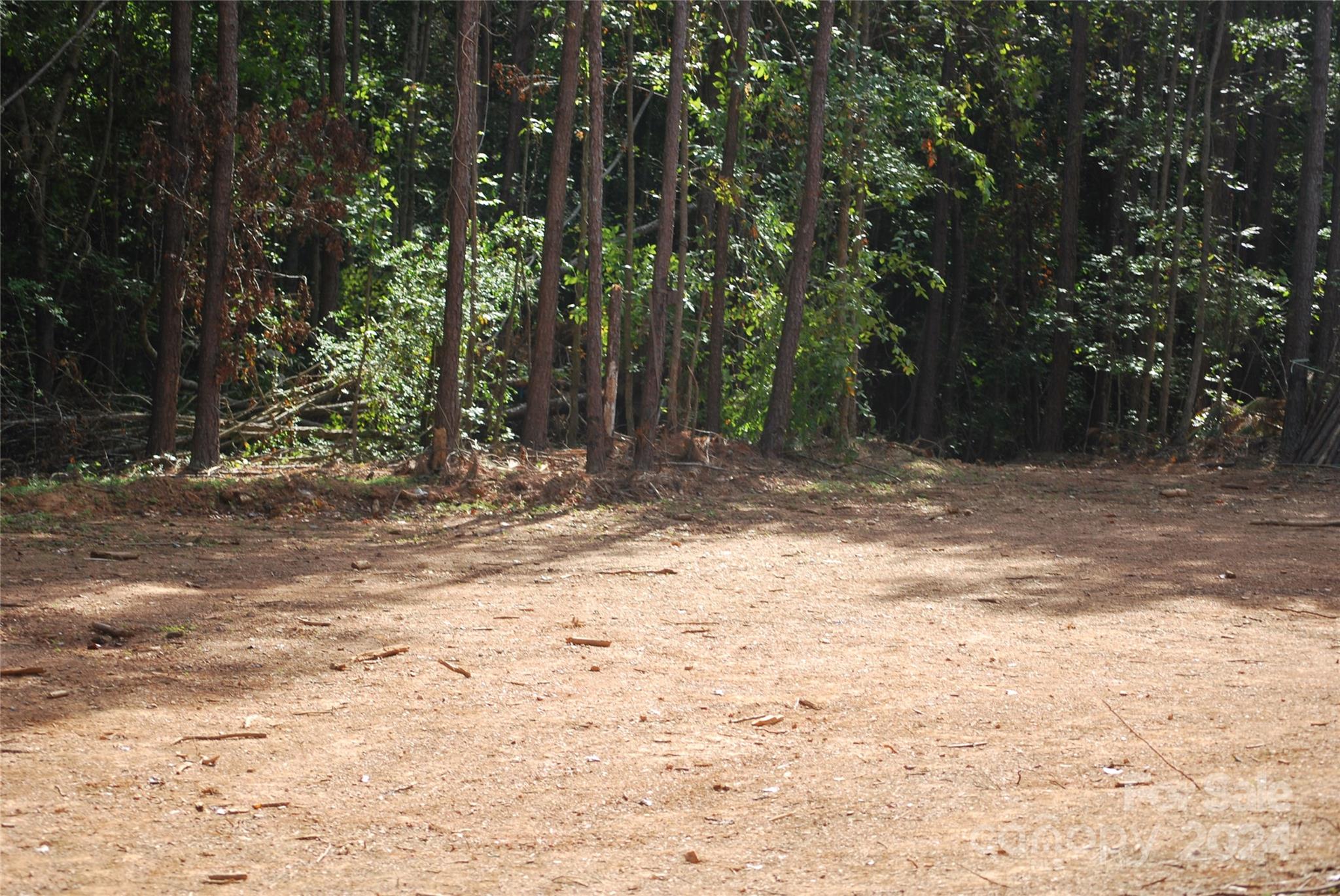 214 Hearne Farm Road Mount Gilead, NC 27306 - Photo 6 of 18