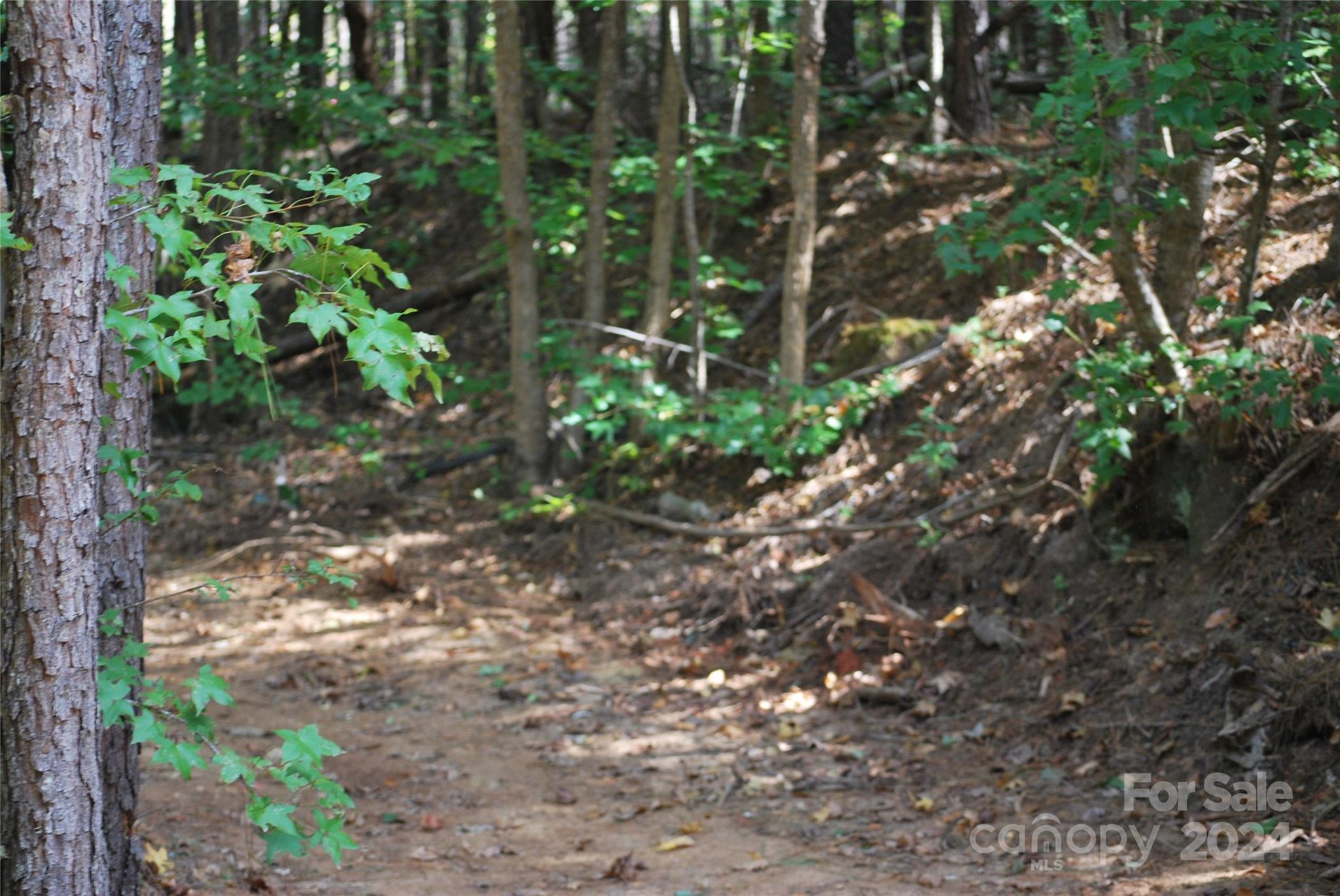 214 Hearne Farm Road Mount Gilead, NC 27306 - Photo 7 of 18