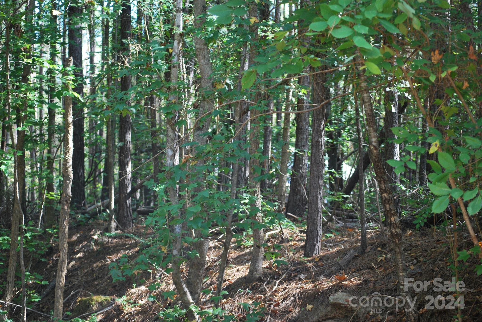 214 Hearne Farm Road Mount Gilead, NC 27306 - Photo 8 of 18