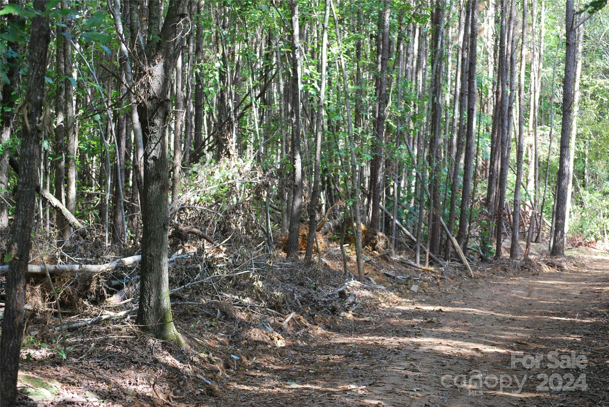 214 Hearne Farm Road Mount Gilead, NC 27306 - Photo 10 of 18