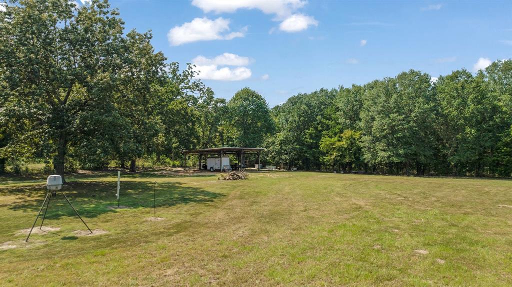1750 County Road 34430 Sumner, TX 75486 - Photo 7 of 20 a view of a golf course with a trees
