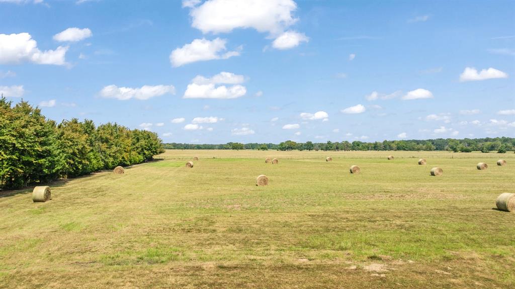 1750 County Road 34430 Sumner, TX 75486 - Photo 8 of 20 a view of an ocean and beach