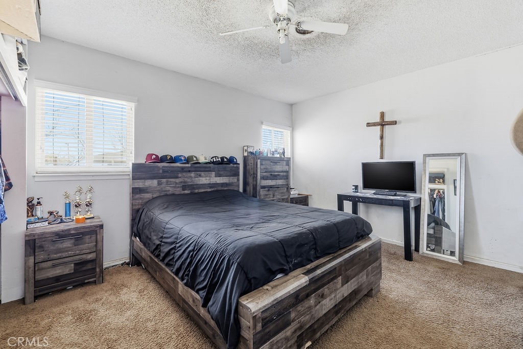 10231 East Ave R-2 Littlerock, CA 93543 - Photo 10 of 36