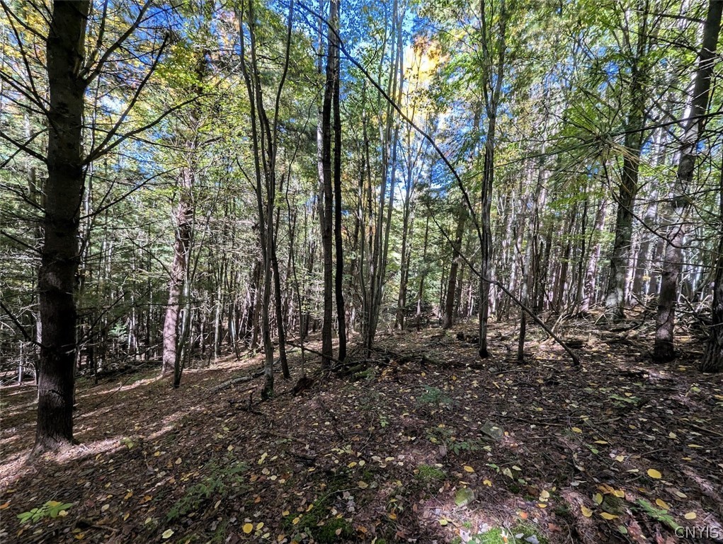 70 A County Road Hornell, NY 14843 - Photo 29 of 37 Gallery Image 29