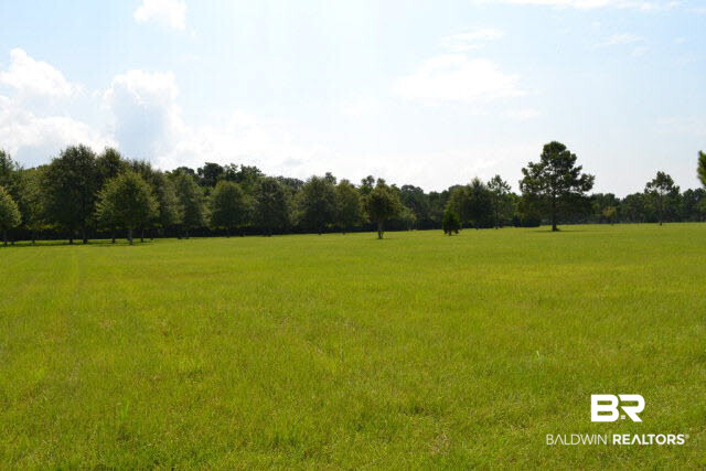 27608 County Road 65 Loxley, AL 36551 - Photo 8 of 32 Gorgeous parcel