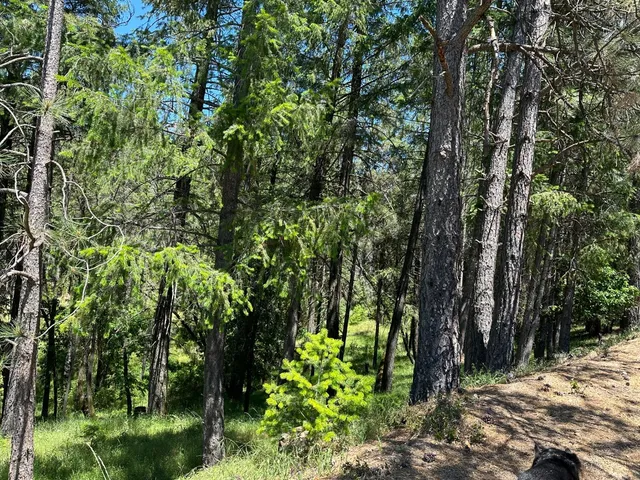 $109,500 | 2663 Sweetwater Trail, Cool, CA 95614