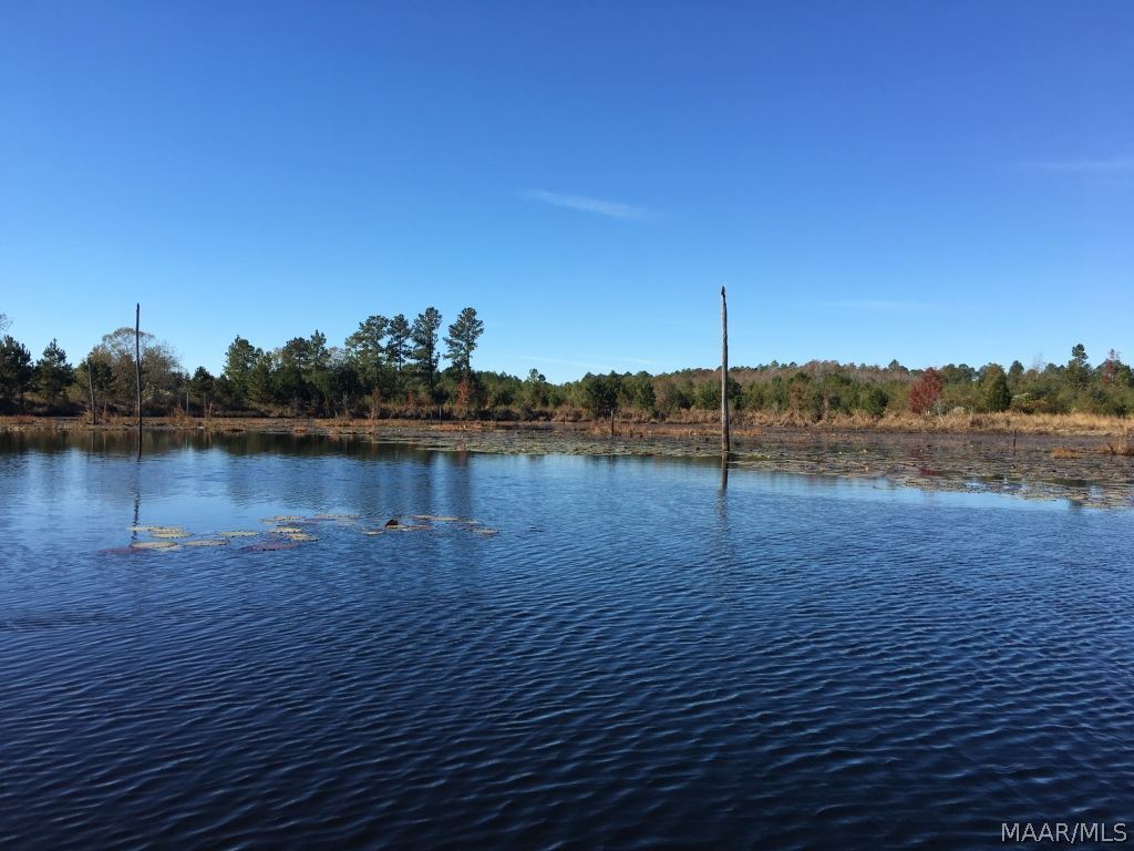2284 Fink's Ml Road Samson, AL 36477 - Photo 12 of 29 Gallery Image 12