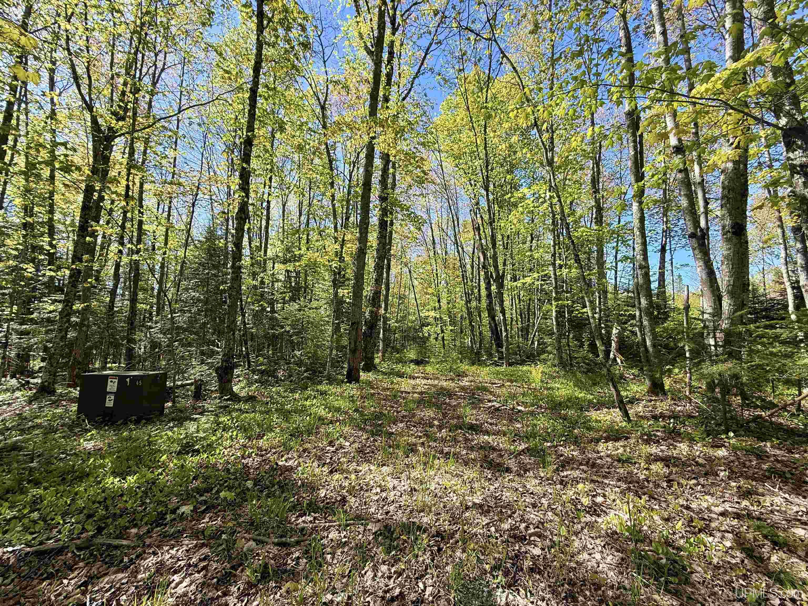 Langford Lake Road Watersmeet, MI 49969 - Photo 23 of 23