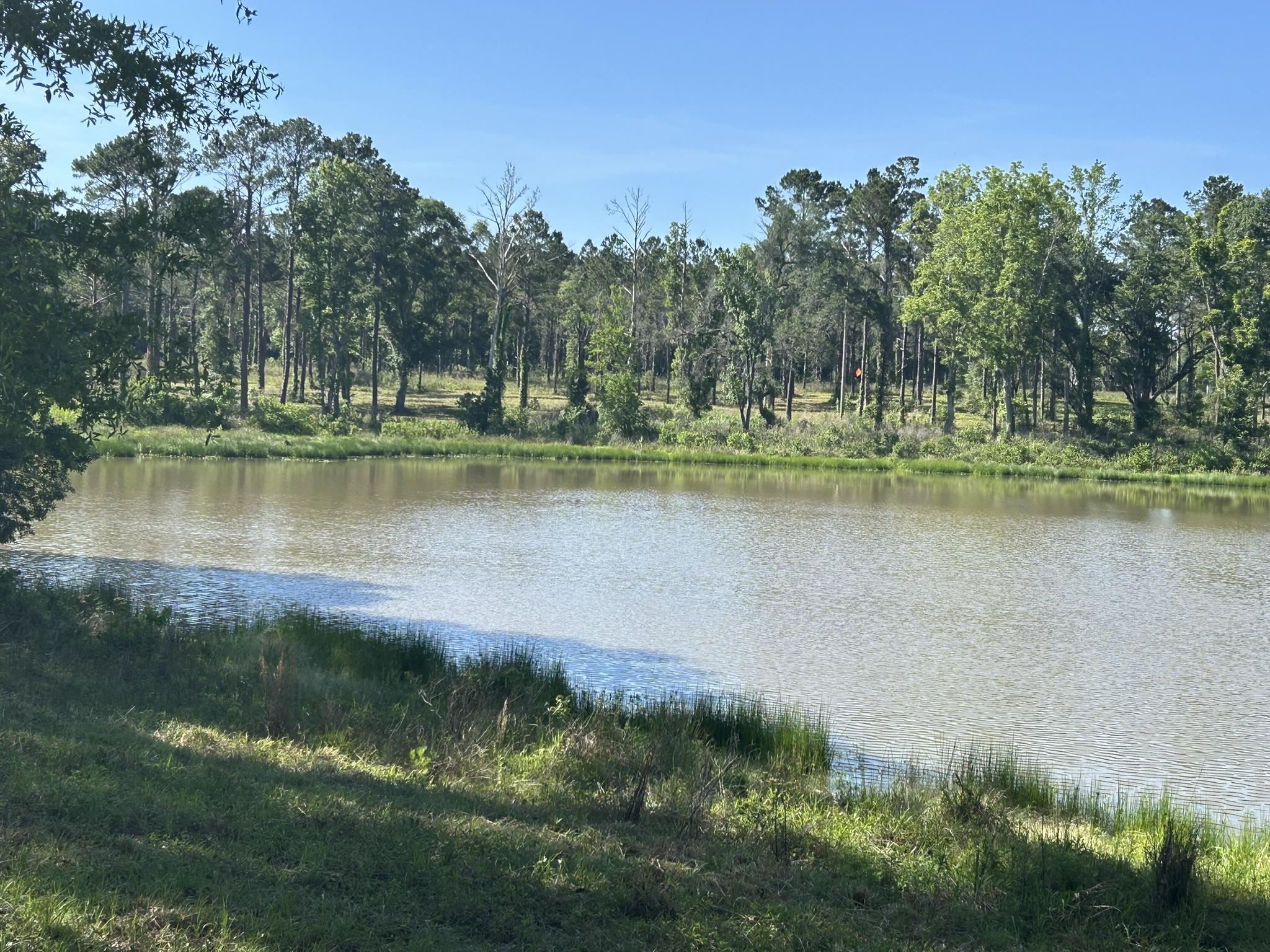 Xxx Ben Bostick Road Quincy, FL 32351 - Photo 10 of 20