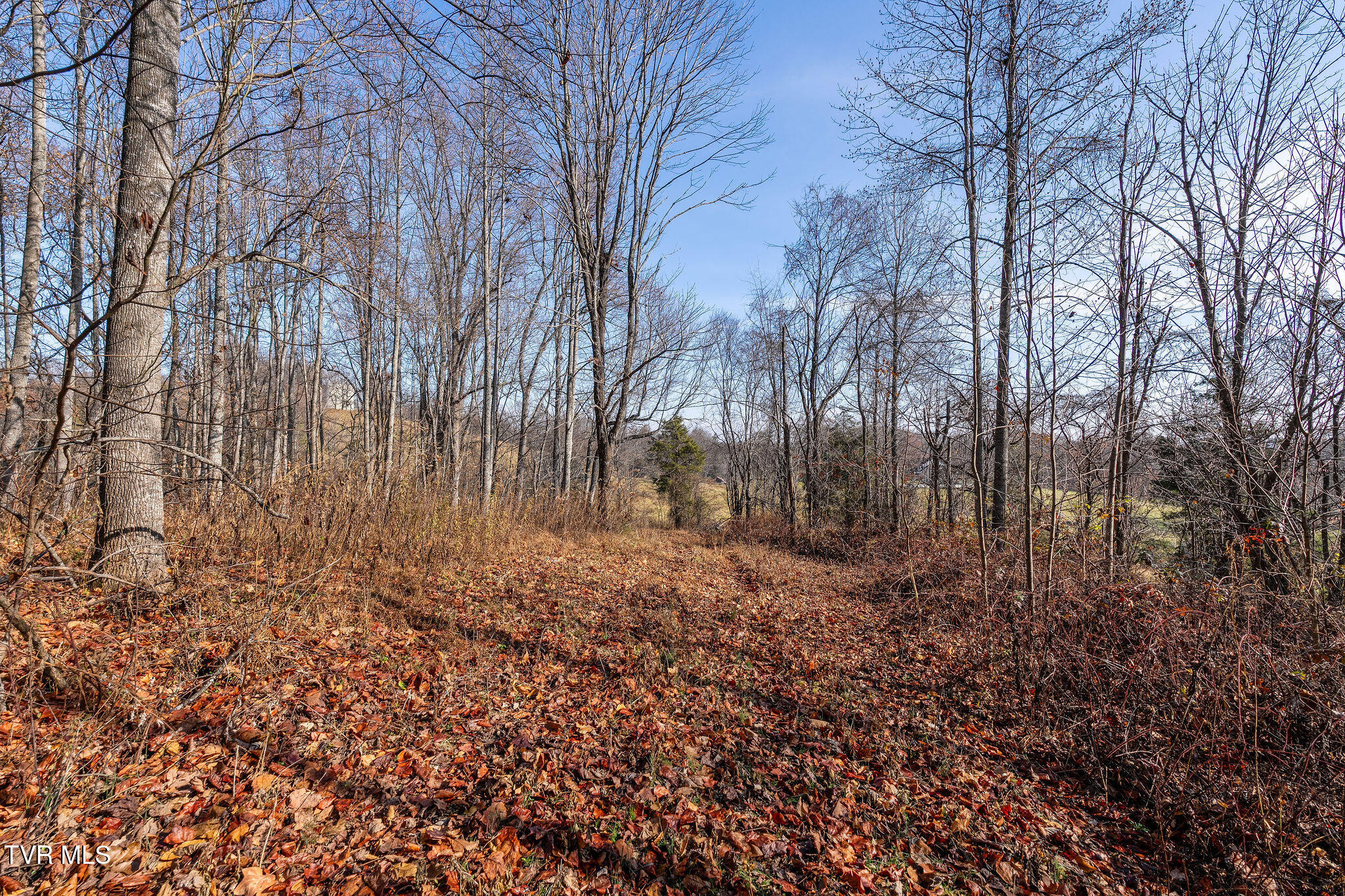 Tbd Birds Eye View Jonesborough, TN 37659 - Photo 11 of 16 DSC00917
