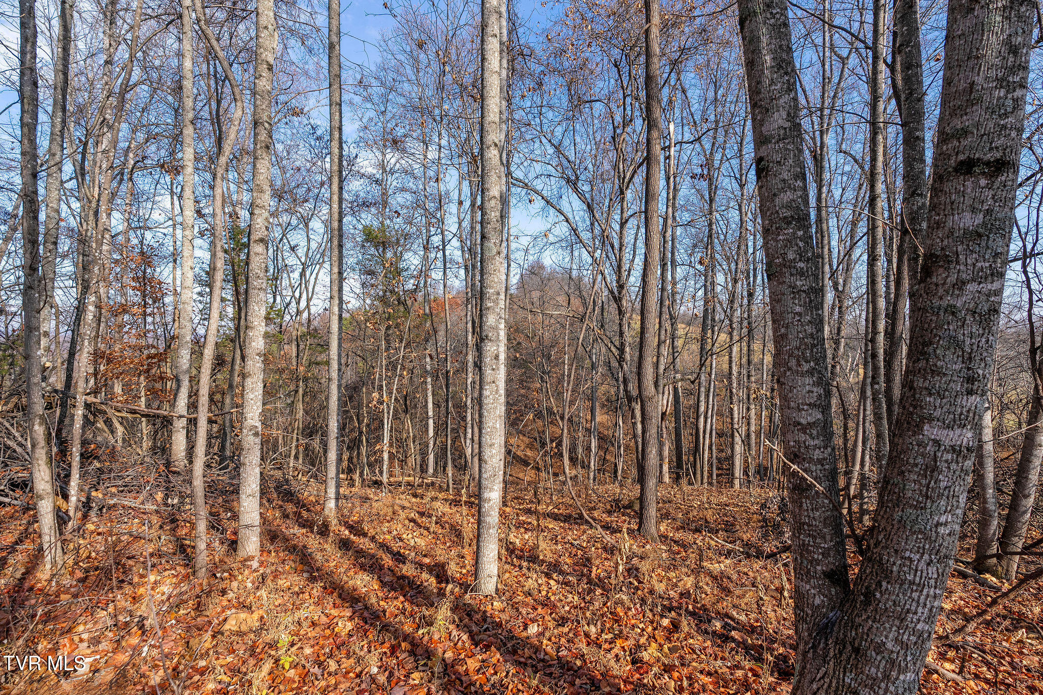 Tbd Birds Eye View Jonesborough, TN 37659 - Photo 12 of 16 DSC00918