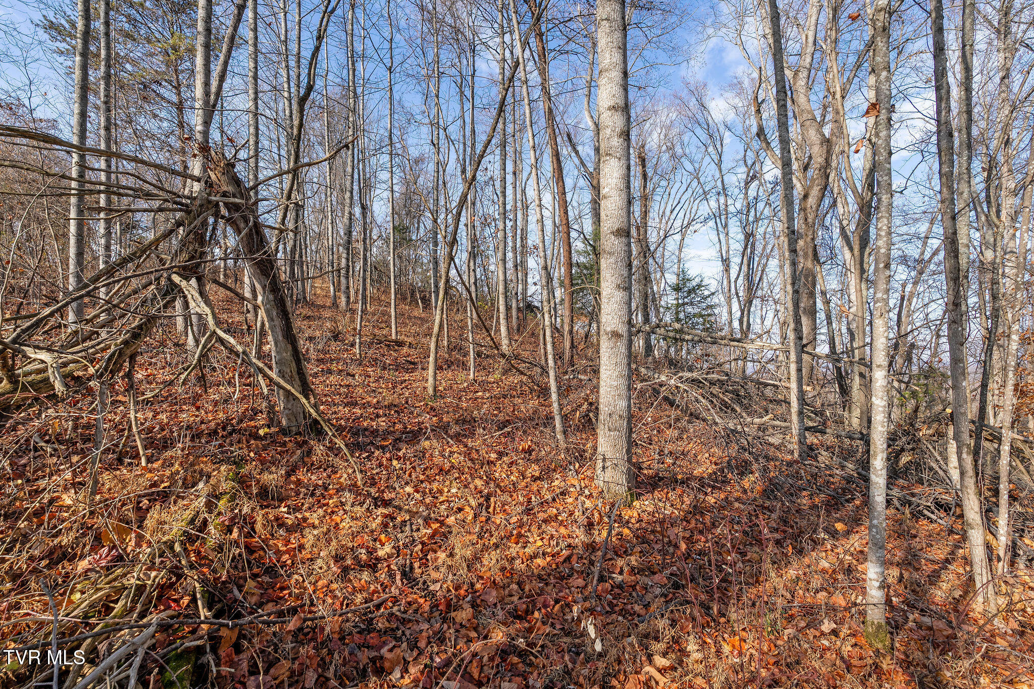 Tbd Birds Eye View Jonesborough, TN 37659 - Photo 13 of 16 DSC00919